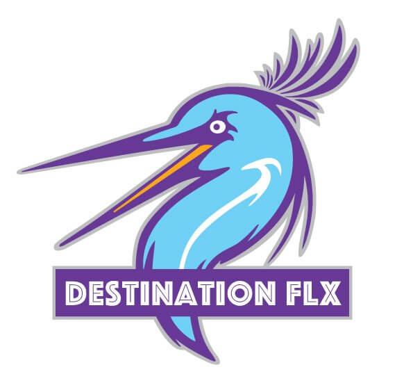 Atlanta web design seo logo design dflx 2