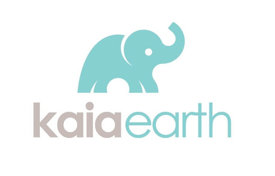 logo design Kaia search